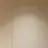 재현