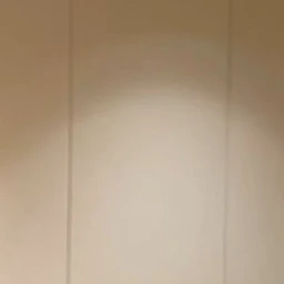 재현