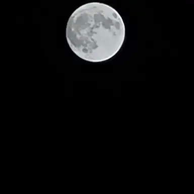 Profile image of 선아