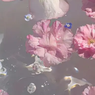 Profile image of 정유한