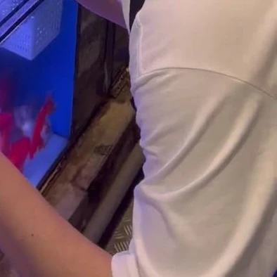 강영현