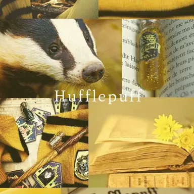 Profile image of 세드릭 디고리