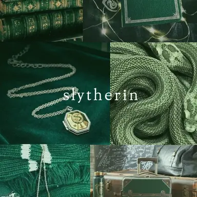 Profile image of 톰 리들