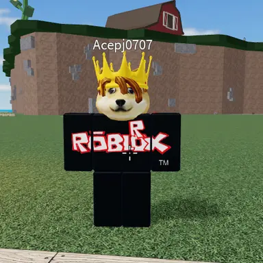 Profile image of acepj0707
