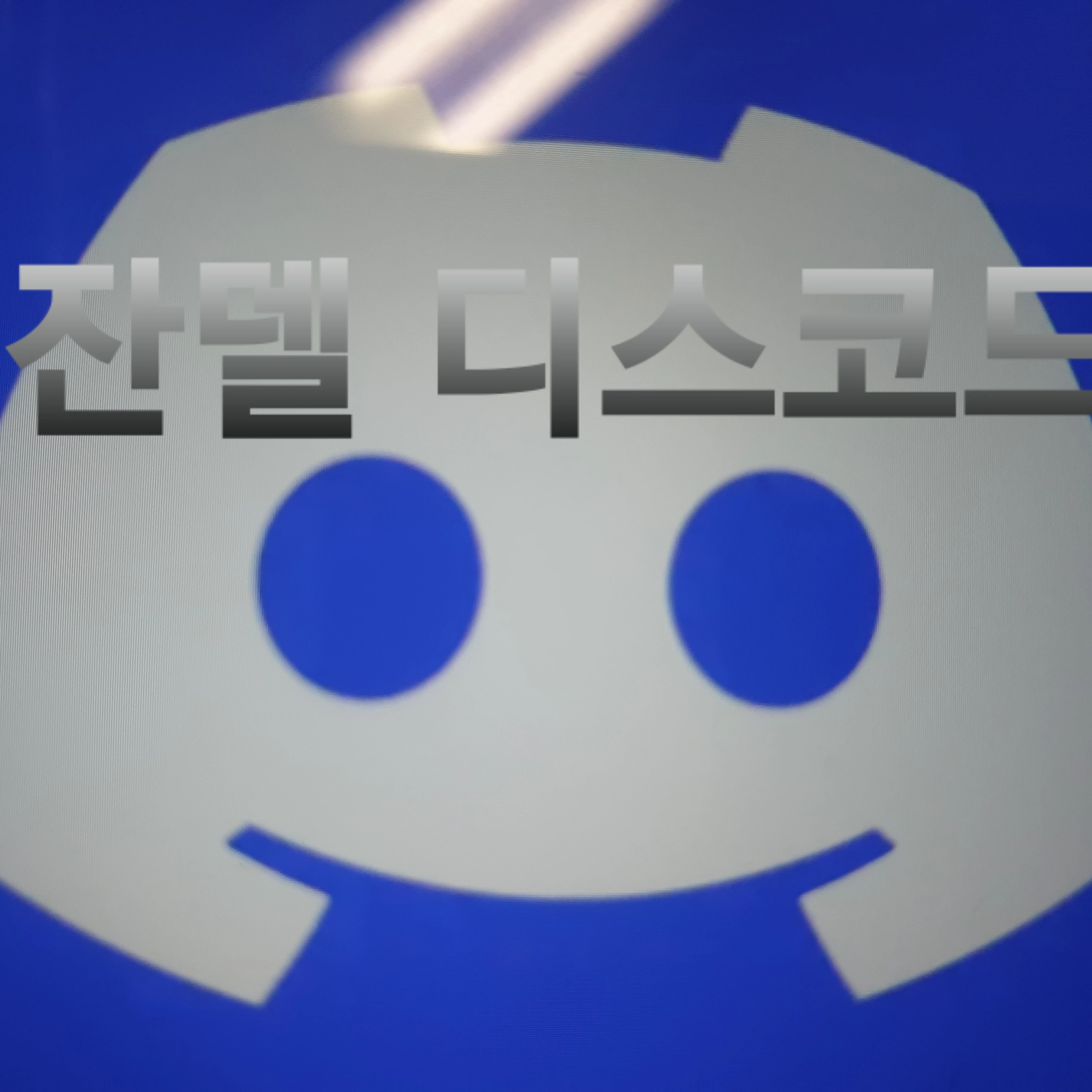 잔델 디스코드.