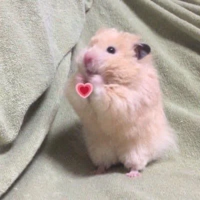 물오름