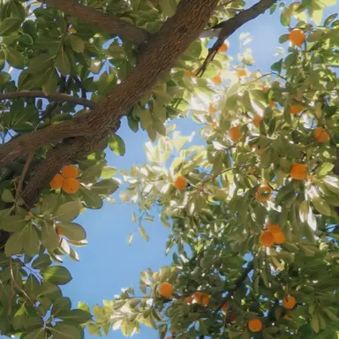 Profile image of 박덕개