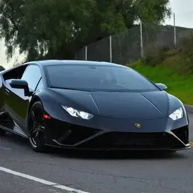 Profile image of Enzo