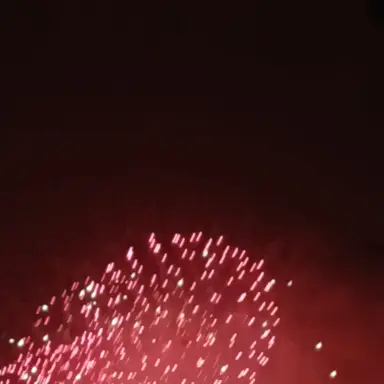 Profile image of 니루미