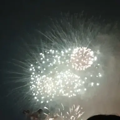 Profile image of 하우이치