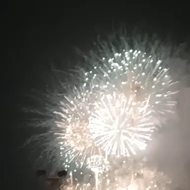 Profile image of 레노