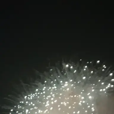 Profile image of 아오니