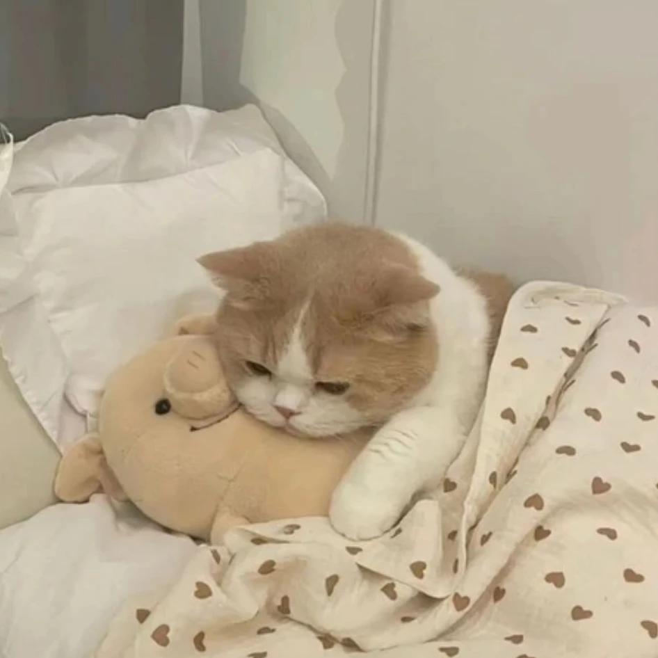 윤기