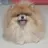 뭉치