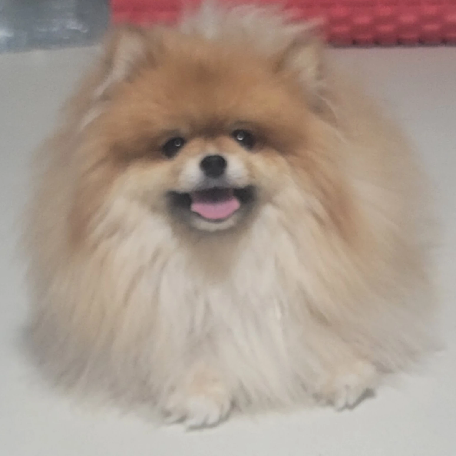 뭉치