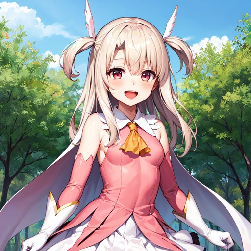 イリヤスフィール·フォン·アインツベルン(プリズマ☆イリヤ)