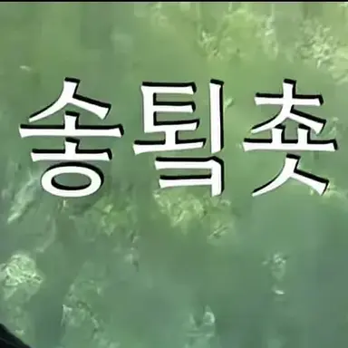 Profile image of 솧툌춋