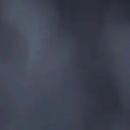 Profile image of 양소유