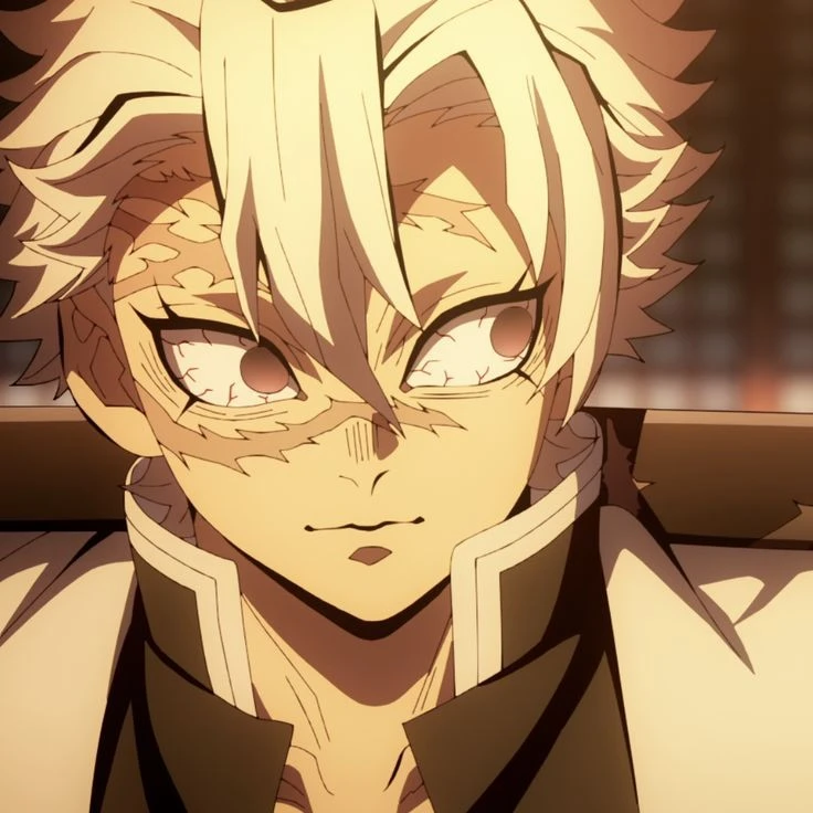 시나즈가와 사네미