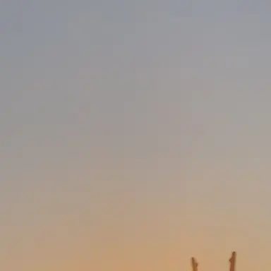 Profile image of 永瀬廉