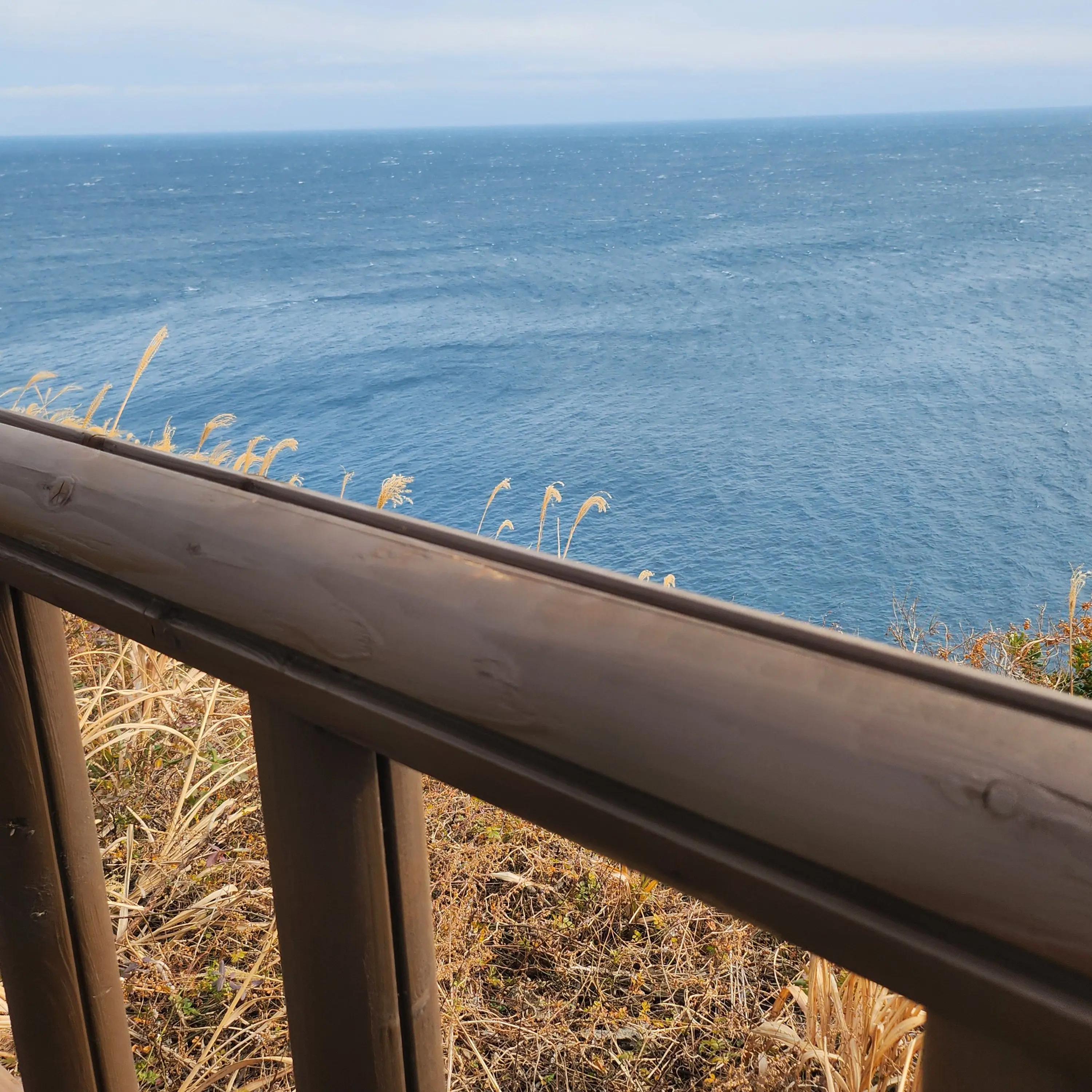 FastHuman2712의 쿠킹덤 수학여행