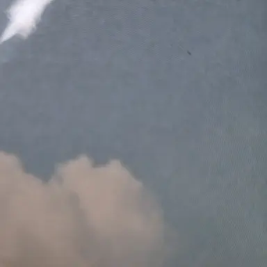 Profile image of 멜