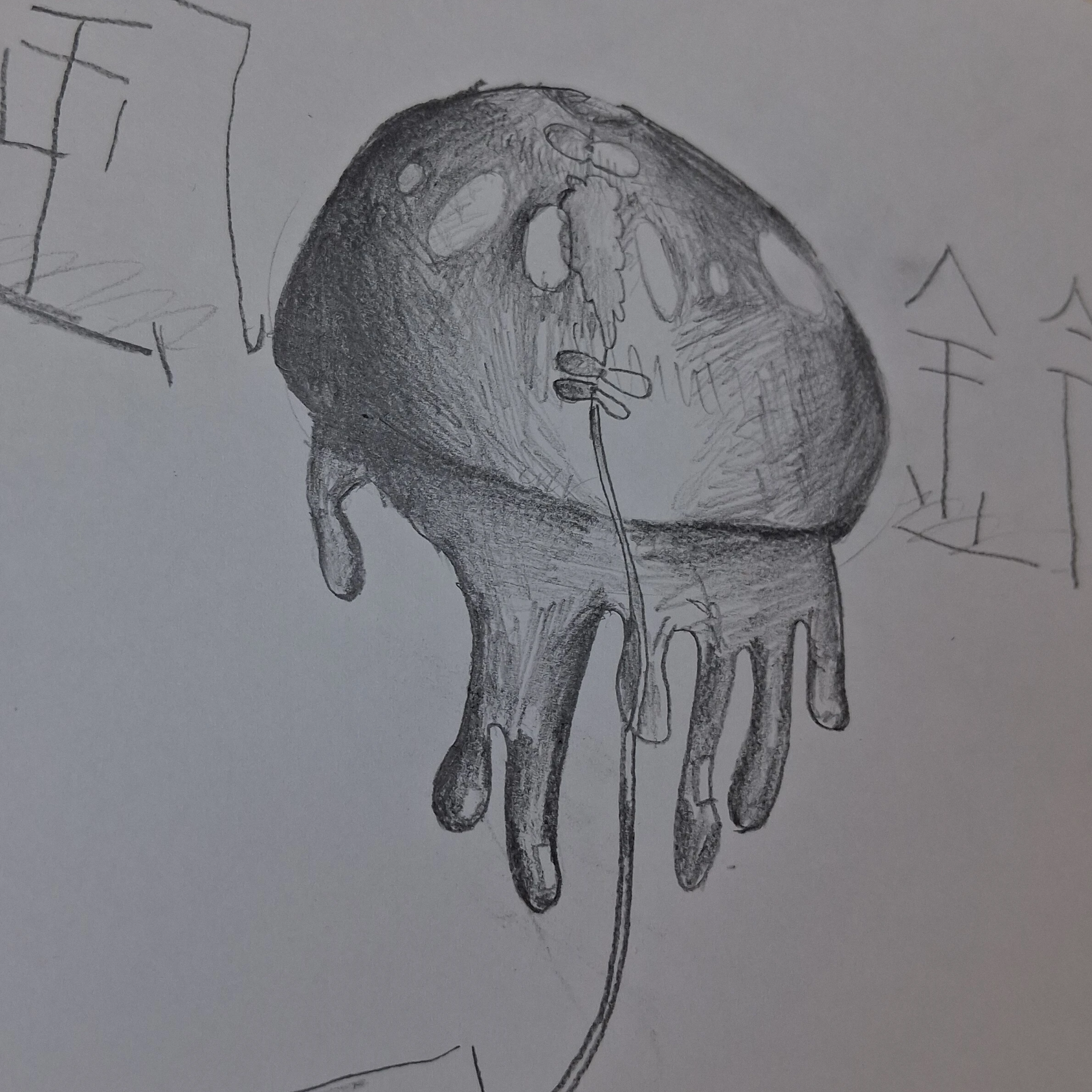 토키토 무이치로