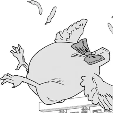 Profile image of 꼬꼬피