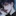 알렉시스 루이즈