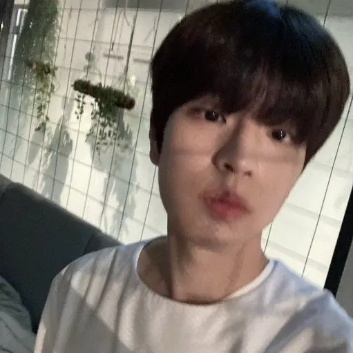levv4nter의 Kim Seungmin - Prom