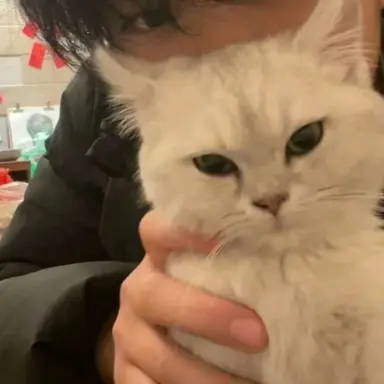 Profile image of 나오