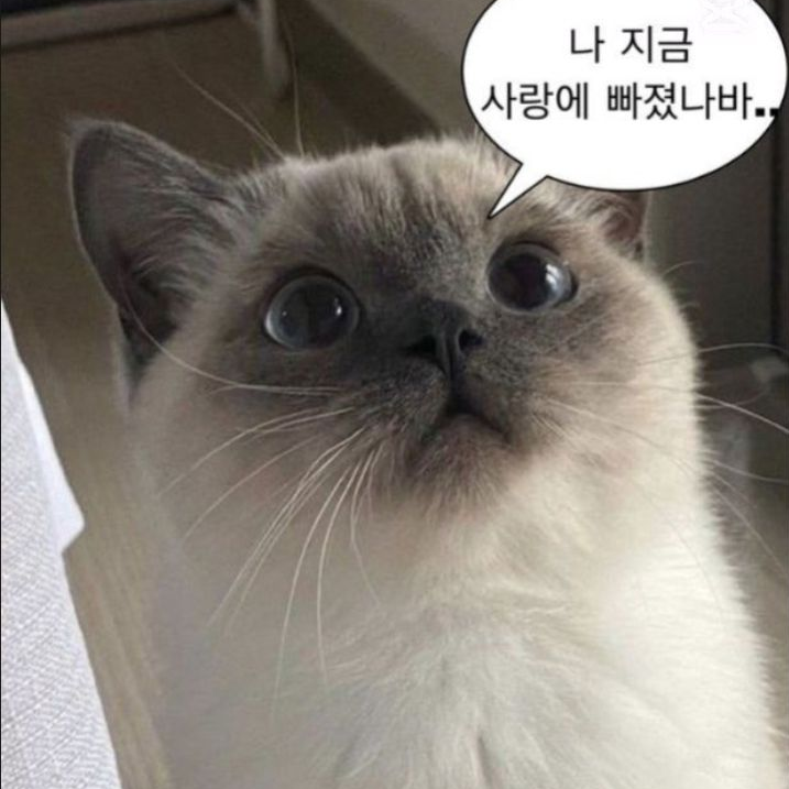 고고프렌즈 대표 이미지