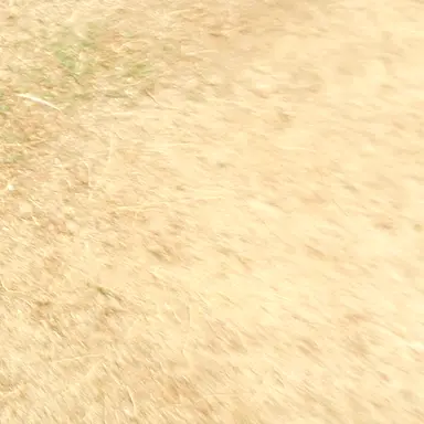 Profile image of 리레 혁명군