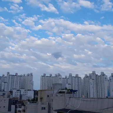 Profile image of 여우