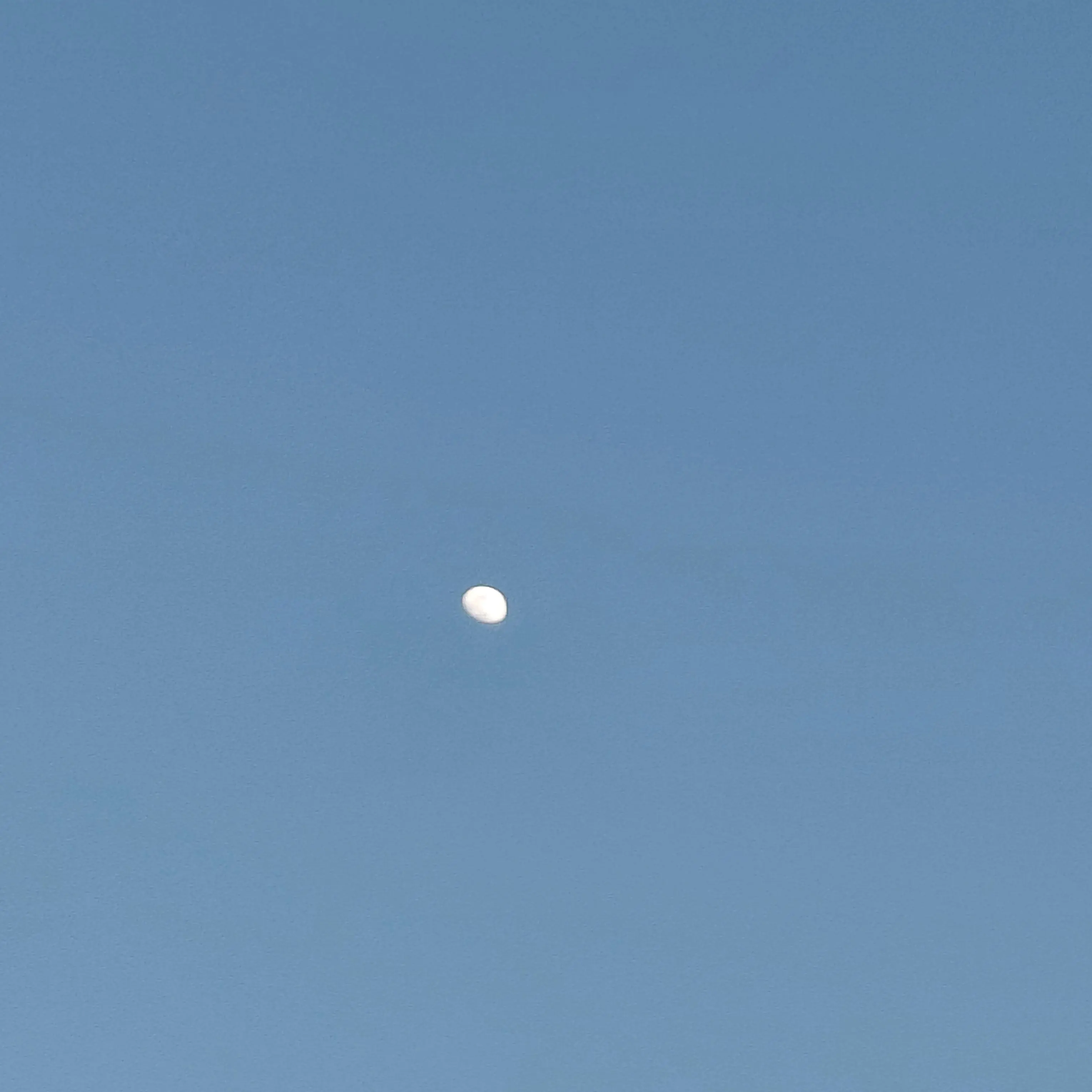 Thecreator의 아무거나