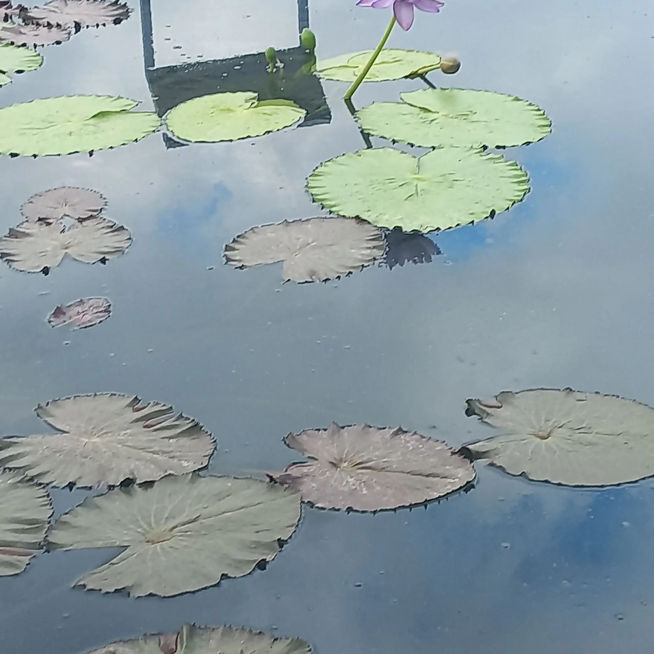 Thecreator의 아무거나