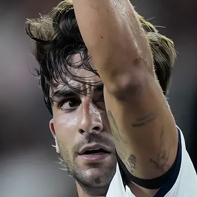 Profile image of Ferran Torres Garcia