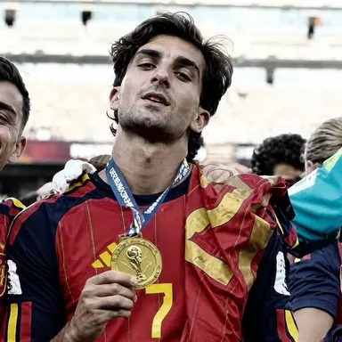 Profile image of Ferran Torres Garcia