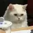 강의현
