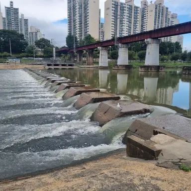 Profile image of 이도현