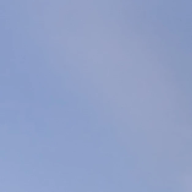 해설