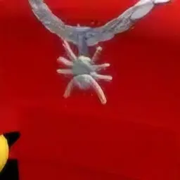 Profile image of 잔드