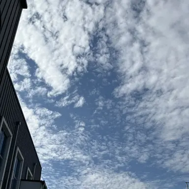 Profile image of 구자욱