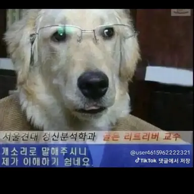 Profile image of 개