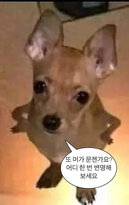 Profile image of 킬러