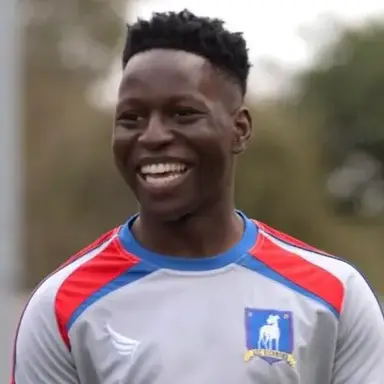 Profile image of Sam Obisanya