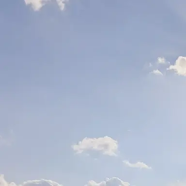 Profile image of 요자쿠라 나나오