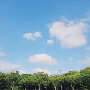 Profile image of 요자쿠라 신조