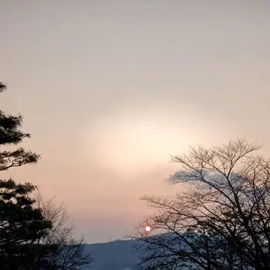 Profile image of 요자쿠라 시온