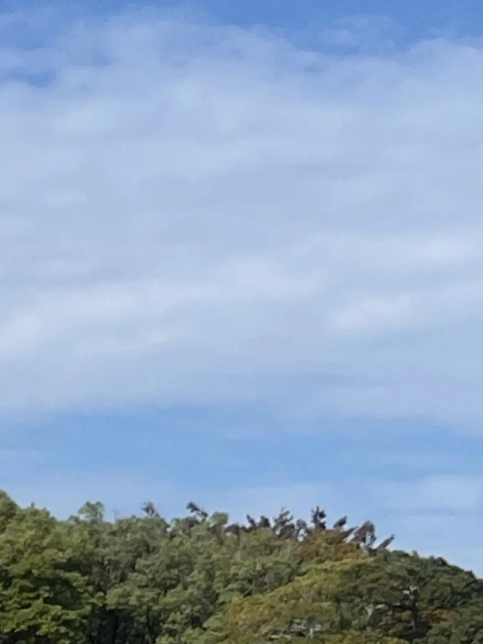 UniqueRupee5879의 そう来たか